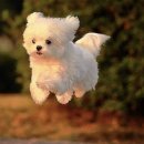 신어류기 | 40분 만에 한 주를 요약해 볼게