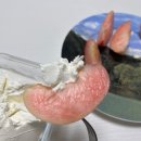 최씨네 농장 | [산지직송 복숭아] 백도 딱딱이 후기 복숭아쇼핑몰 최씨네농장