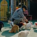 고양이기숙사