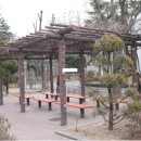 샛별마을삼부아파트(마을) 이미지