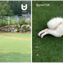 인천개공원 카페 티스토리