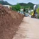 영양초등학교 이미지