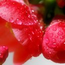 오늘하루 이미지