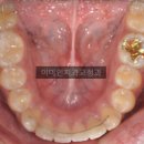 도담치과기공소 이미지