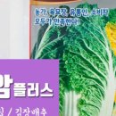 흥농종묘사 이미지