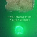 글로벌 K-뮤지컬 마리 퀴리 네이버블로그