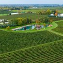 더 마차 이미지