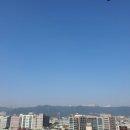 아지나라 이미지