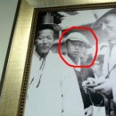 조선스칼프 이미지