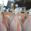 원항수산 - 통영시 새터길 42-6 | 원항수산