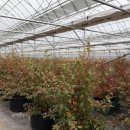 가온농장 이미지