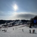 롯데리아 앞 횡단보도 | 휘닉스 평창 2박3일 스키여행 2일차 후기｜스키강습 비용, 알파인렌탈샾, 한우 저녁 총정리