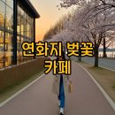 김천남산종합의원 | 김천 연화지 벚꽃과 카페 산책