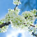 POP자격증 이미지