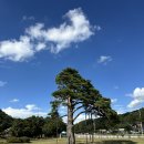 정이품송공원 화장실 | 충북 보은 가볼만한곳: 속리산국립공원 법주사, 정이품송, 팔상전