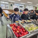 인평초교 이미지