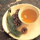 헤어닥터 이미지