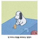 맘에 드는 이성이 뭐 하냐고 묻는데 어떻게 답해야 하나요?
