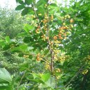 판산골농장 이미지