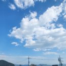 사궁두미 479 이미지