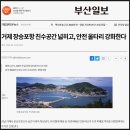 1만 4천 피란살이 장승포 휴먼다큐 이미지