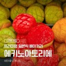 [대구] 신세계백화점 일본식 베이커리 '에키노아토리에' 메론빵 솔직 후기