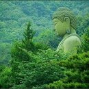 석서농원 이미지