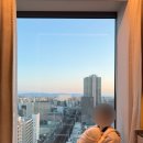 가족호텔옆공중화장실 | 4.아기랑일본) 오사카 난바 호텔 추천 <센타라 그랜드 호텔 오사카> 체크인 전 체크아웃 후 짐 보관 가능