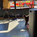 카페드 37-1 네이버블로그