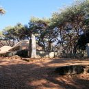 창원 최윤덕 묘역 이미지