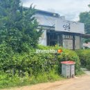 안골보리밥 이미지