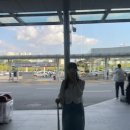 탐나는 보목 | 여름의 시작 : 제주도는 여름에