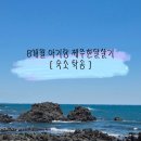 한림내과의원 | 8개월 아기랑 제주한달살기 | 내돈내산 제주 숙소 추천 및 제주고속 탁송 후기