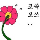 더리즌