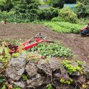 풍천초신풍분교장 이미지