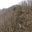 상관 공기마을 편백숲 이미지