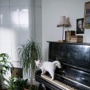 구문소 관광지 이미지