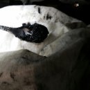 제일카써비스 이미지