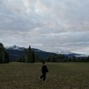 다솔주유소 | [밴쿠버] #4-록키투어(밴프투어)1 : 무한 이동의 날 (한인여행사 오케이투어)