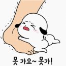 김미경 동물병원 이미지