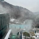 충북 겨울여행 제천 포레스트 리솜 s25 숙소 객실 후기
