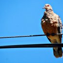 용산-222 이미지