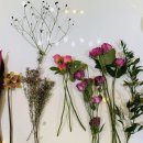 핸드드립 바리스타 과정 이미지