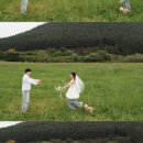 모아웨딩 | 서기록·이테·쥬르케이커리… 제주 웨딩 최신 후기 모아봤어요
