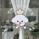 반려동물 수제간식 태식당 이미지