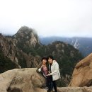 북포항주유소 이미지