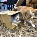 오죽경로당 이미지