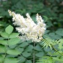 인제04-2 이미지