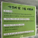 비타민유토피아 | 공원에서 야외요가~ 일산 요가 유토피아와 함께 비타민D 충전 후기!