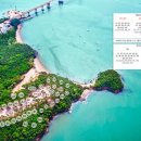 트리캠핑장 이미지